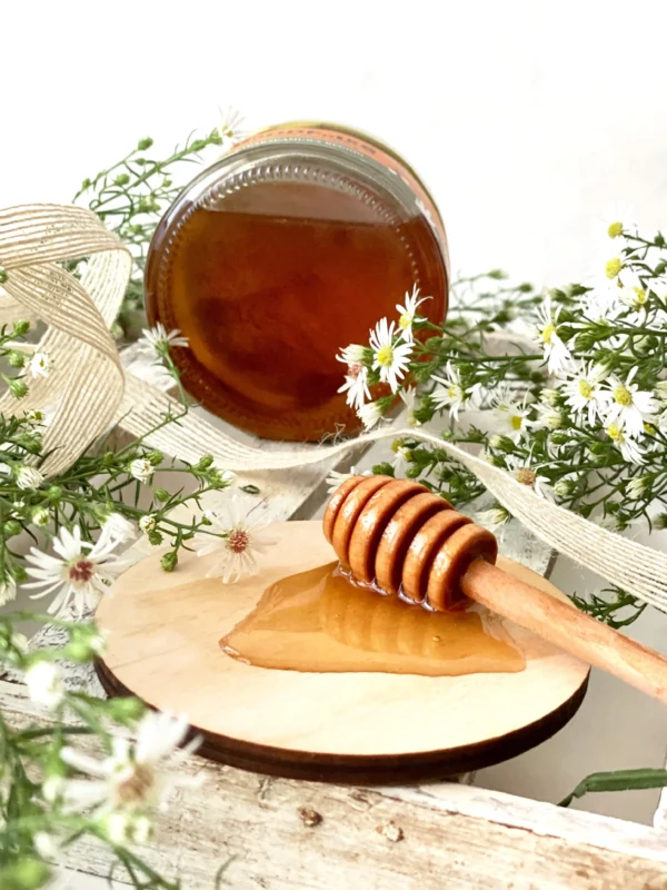 Sri Lanka Ayurveda Bee Honey Supplier