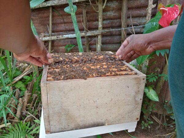 Goodfolks Ayurvedic Bee Honey Farmers 2