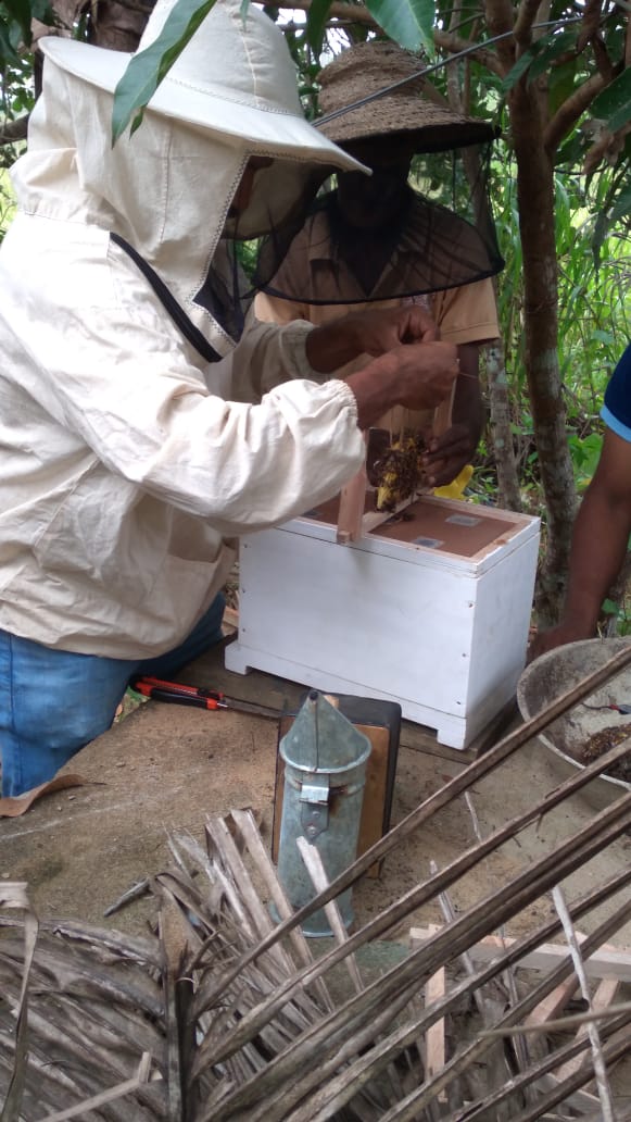 Sri Lanka Bee Keeping