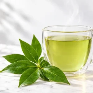 Soursop Leaf Tea - Anoda Leaf Tea from Goodfolks