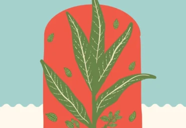 GOODFOLKS-SPICES-CARDAMOM