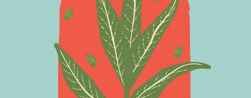 GOODFOLKS-SPICES-CARDAMOM